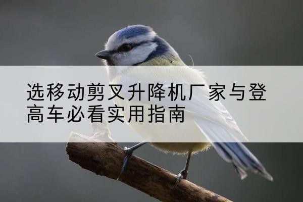 蒙自电动升降机厂家-选移动剪叉升降机厂家与登高车必看实用指南