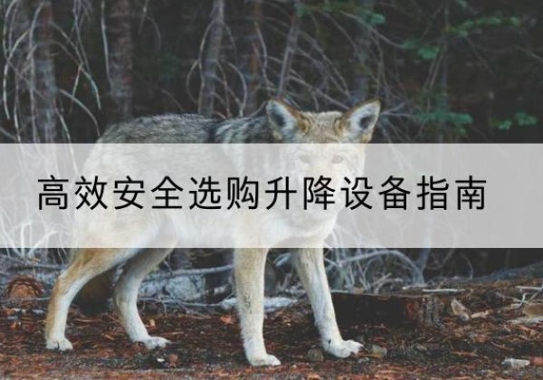 蒙自升降货梯厂家推荐-*安全选购升降设备指南