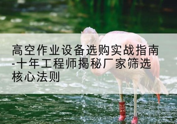 蒙自剪叉式升降机厂家-高空作业设备选购实战指南-十年工程师揭秘厂家筛选核心法则